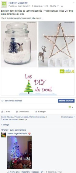 publication Facebook Radis et capucine